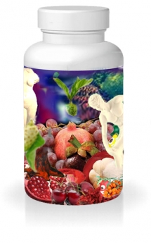 FruitFusion Ultra  – für fruchtige Momente