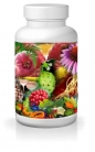 Immunkomplex Immunmodulation
